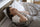 Can Lack of Sleep Cause Diabetes? What Science Says