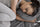 Young woman lying in bed struggling to fall asleep, looking restless and uncomfortable.