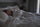 Woman in her 50s sleeping peacefully through the night in a cool, dark bedroom